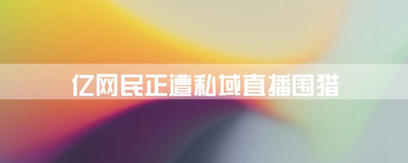 亿网民正遭私域直播围猎