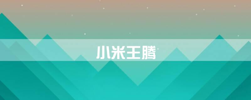 小米王腾