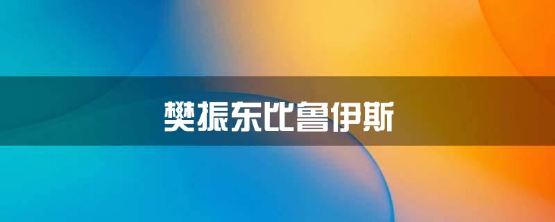 樊振东比鲁伊斯