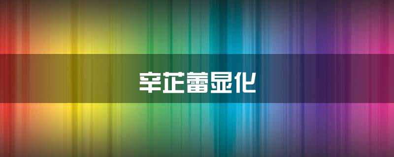 辛芷蕾显化